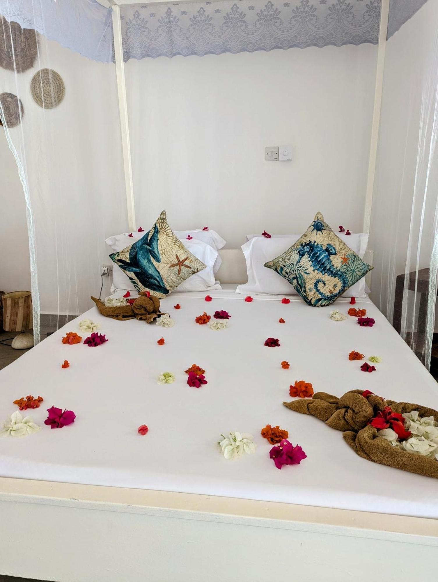 Bahati Villa キウェンワ エクステリア 写真